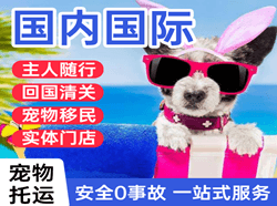 长沙黄花机场邮寄国际宠物托运 【国